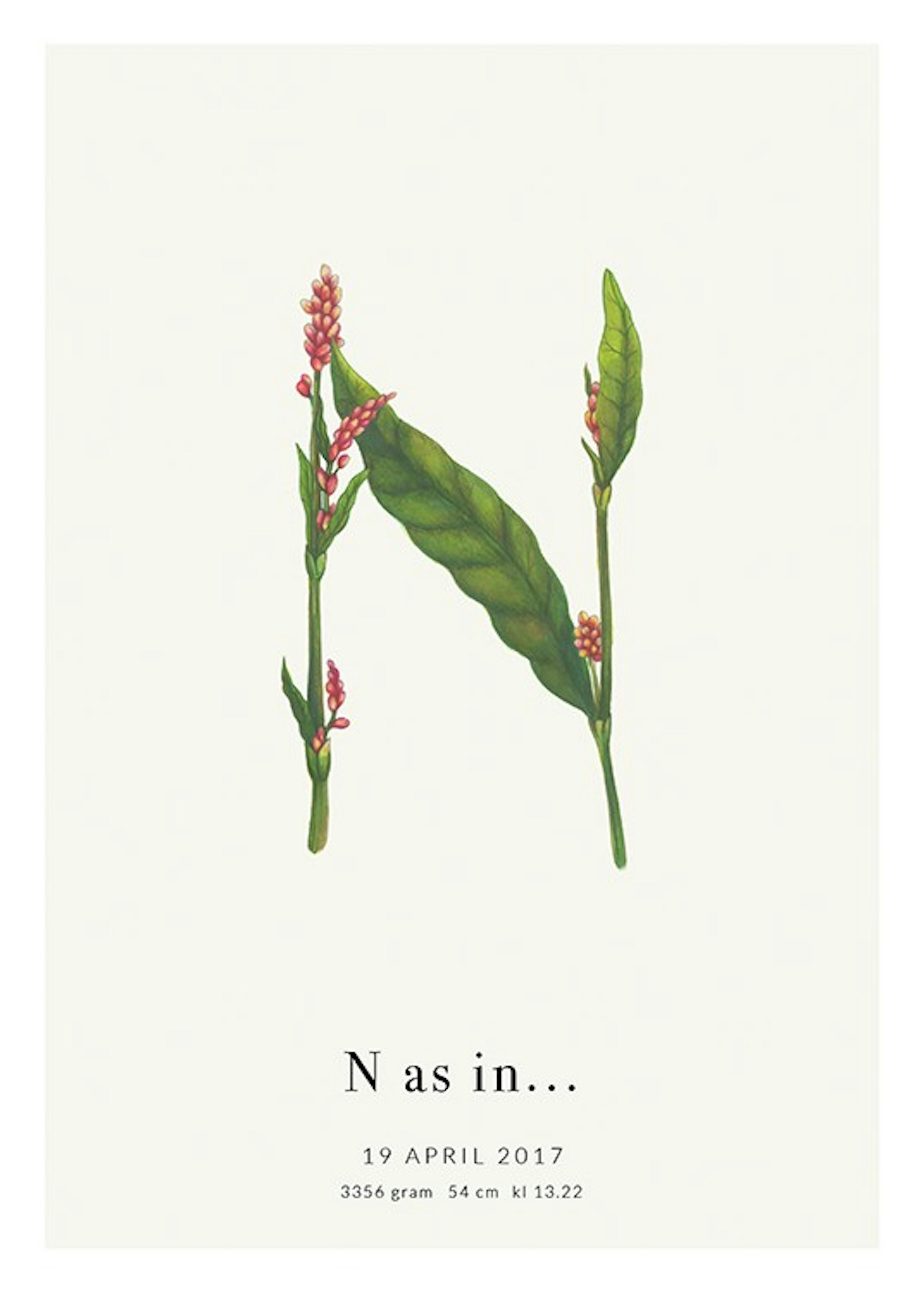 Botanic Letter N Personal 포스터 0