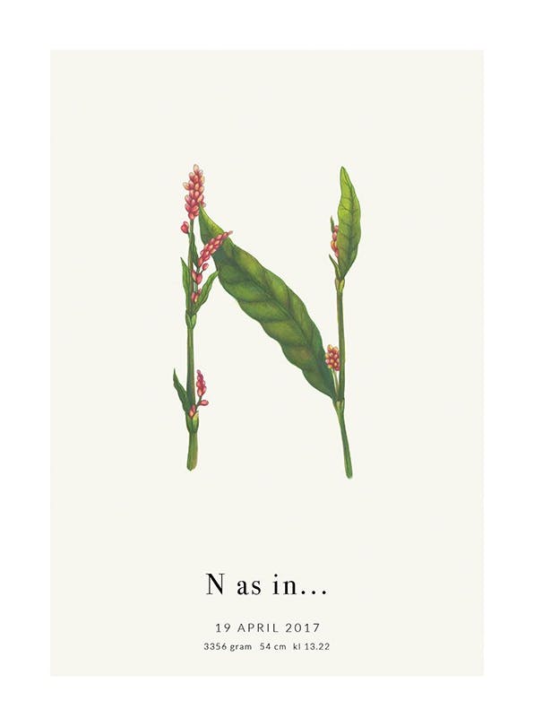 Botanic Letter N Personal Plakat (30x40 cm) - Plakater > Personlige posters