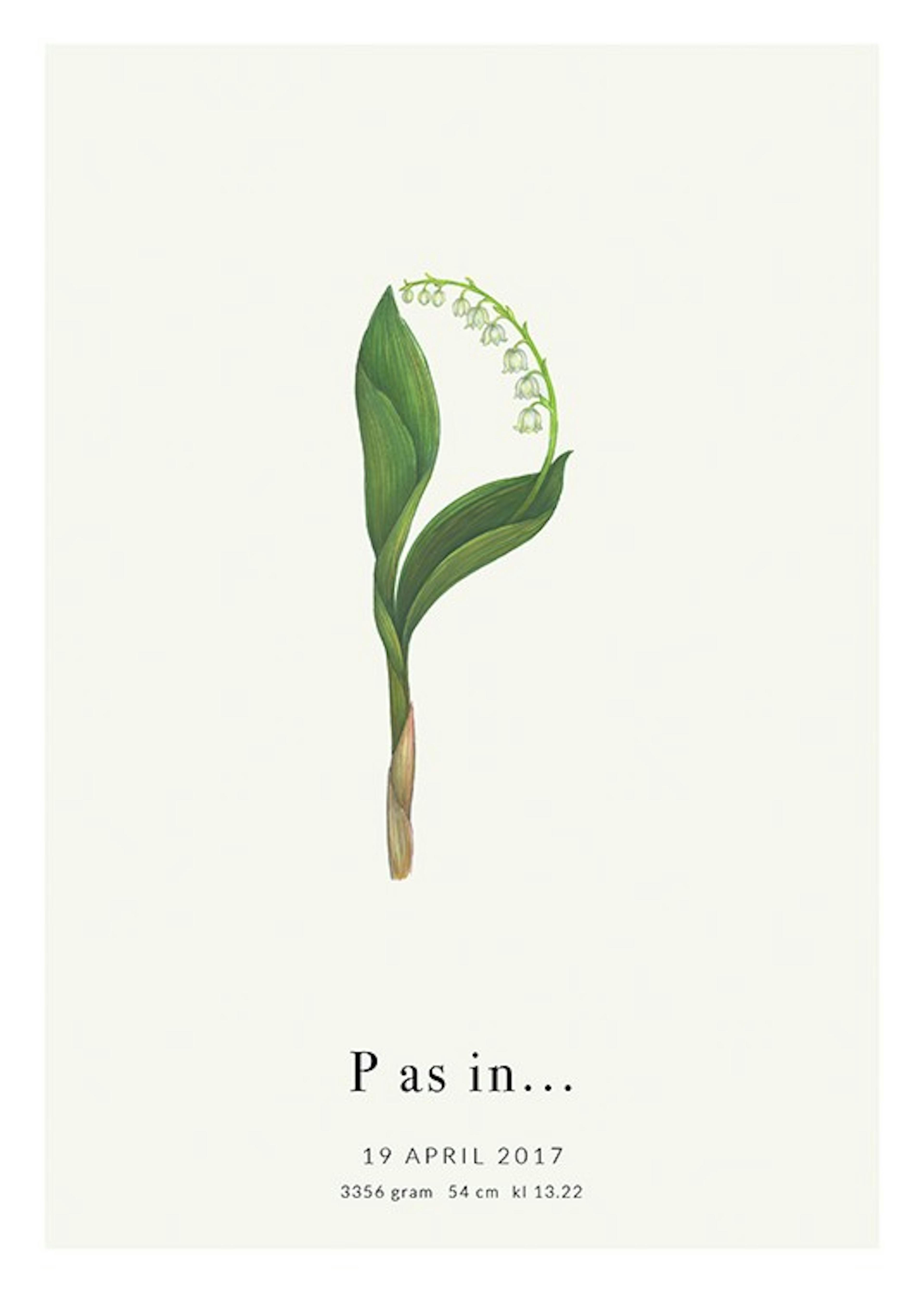 Botanic Letter P Personal Plakat 0