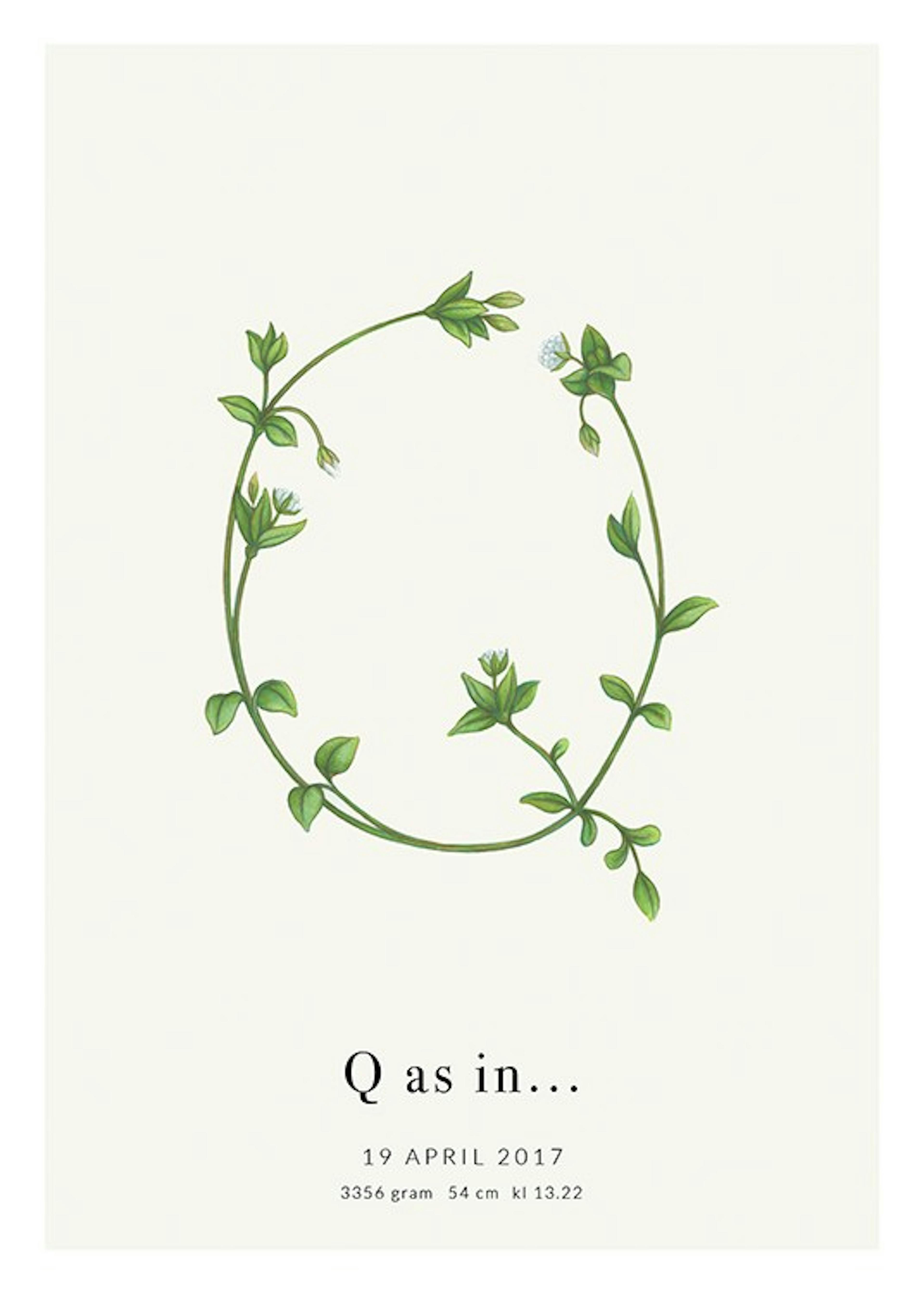 Botanic Letter Q Personal 포스터 0