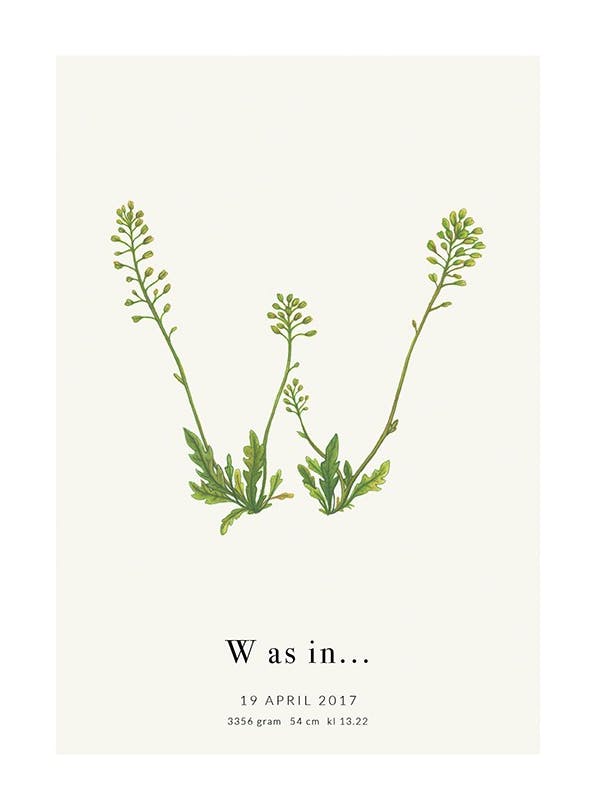 Botanic Letter W Personal Plakat (30x40 cm) - Plakater > Personlige posters
