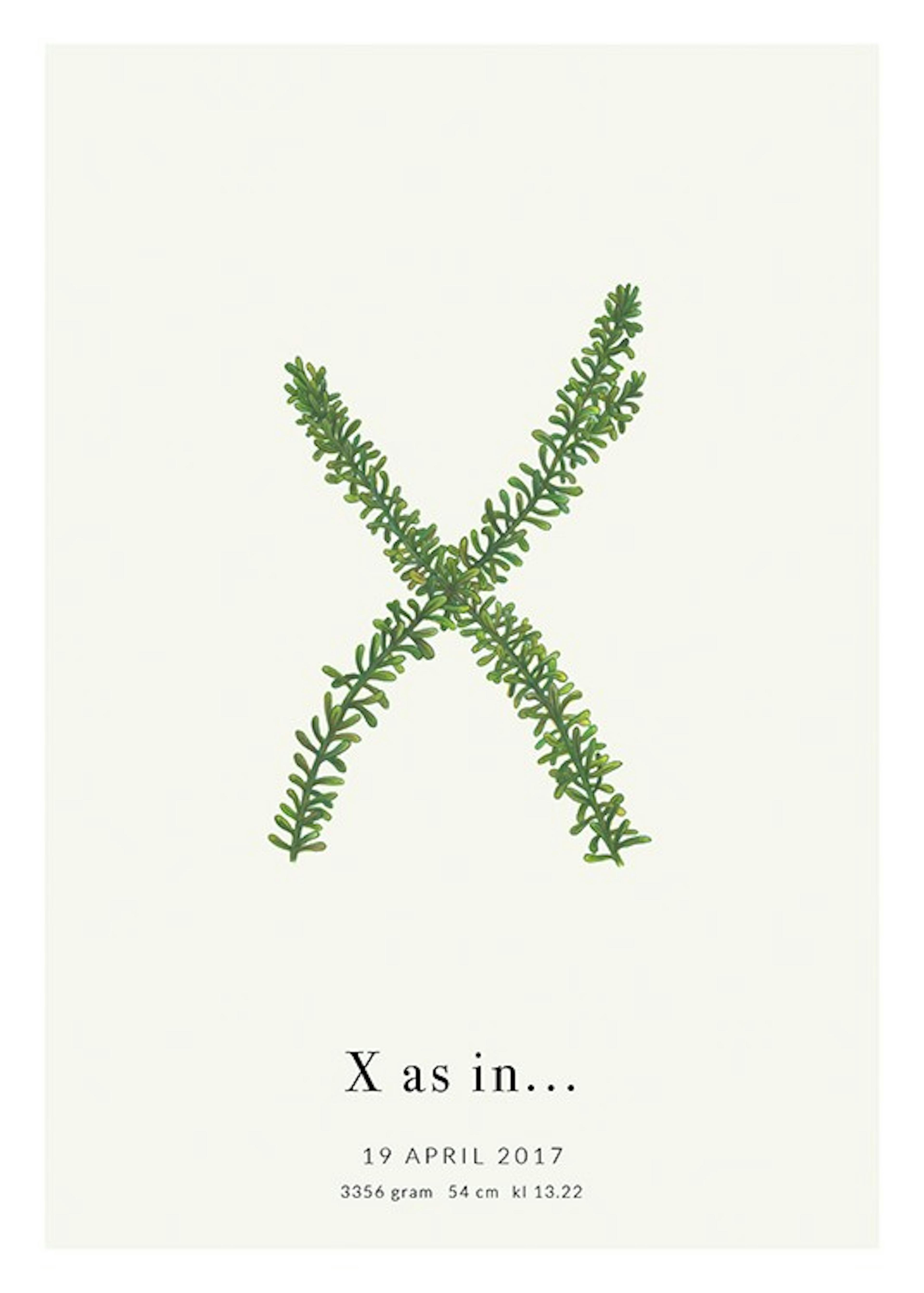 Botanic Letter X Personal 포스터 0