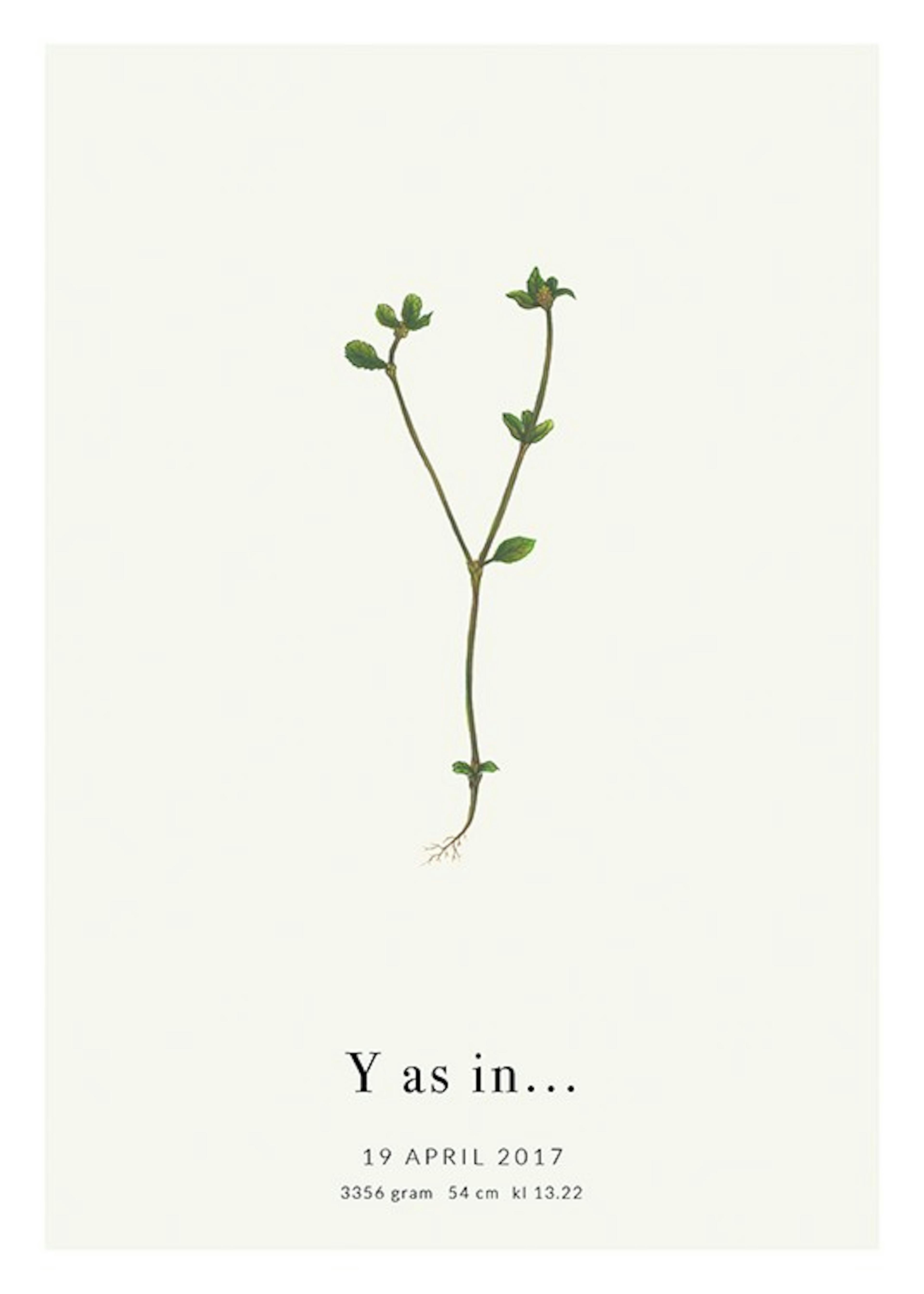 Botanic Letter Y Personal Poster 0