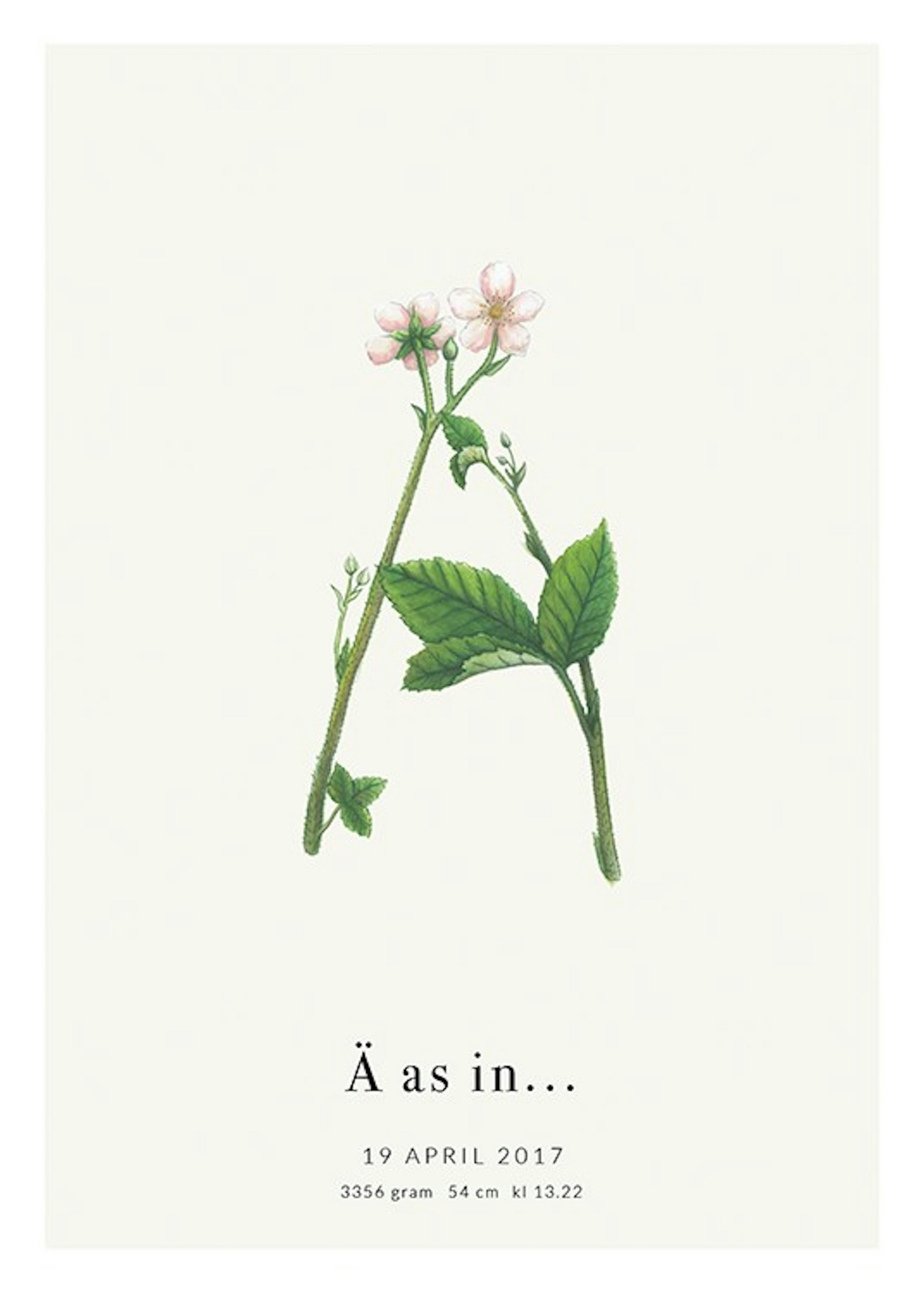 Botanic Letter Ä Personal 포스터 0