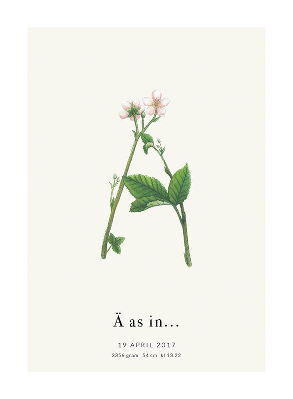 Botanic Letter Ä Personal Plakat (30x40 cm) - Plakater > Personlige posters
