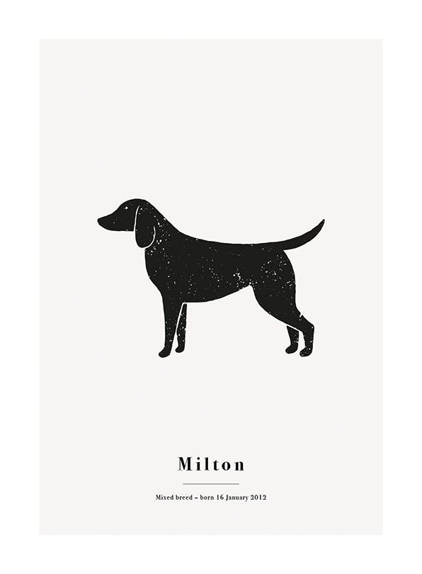 My Pet Mixed Breed Personal Plakat (30x40 cm)- Plakaty personalizowane