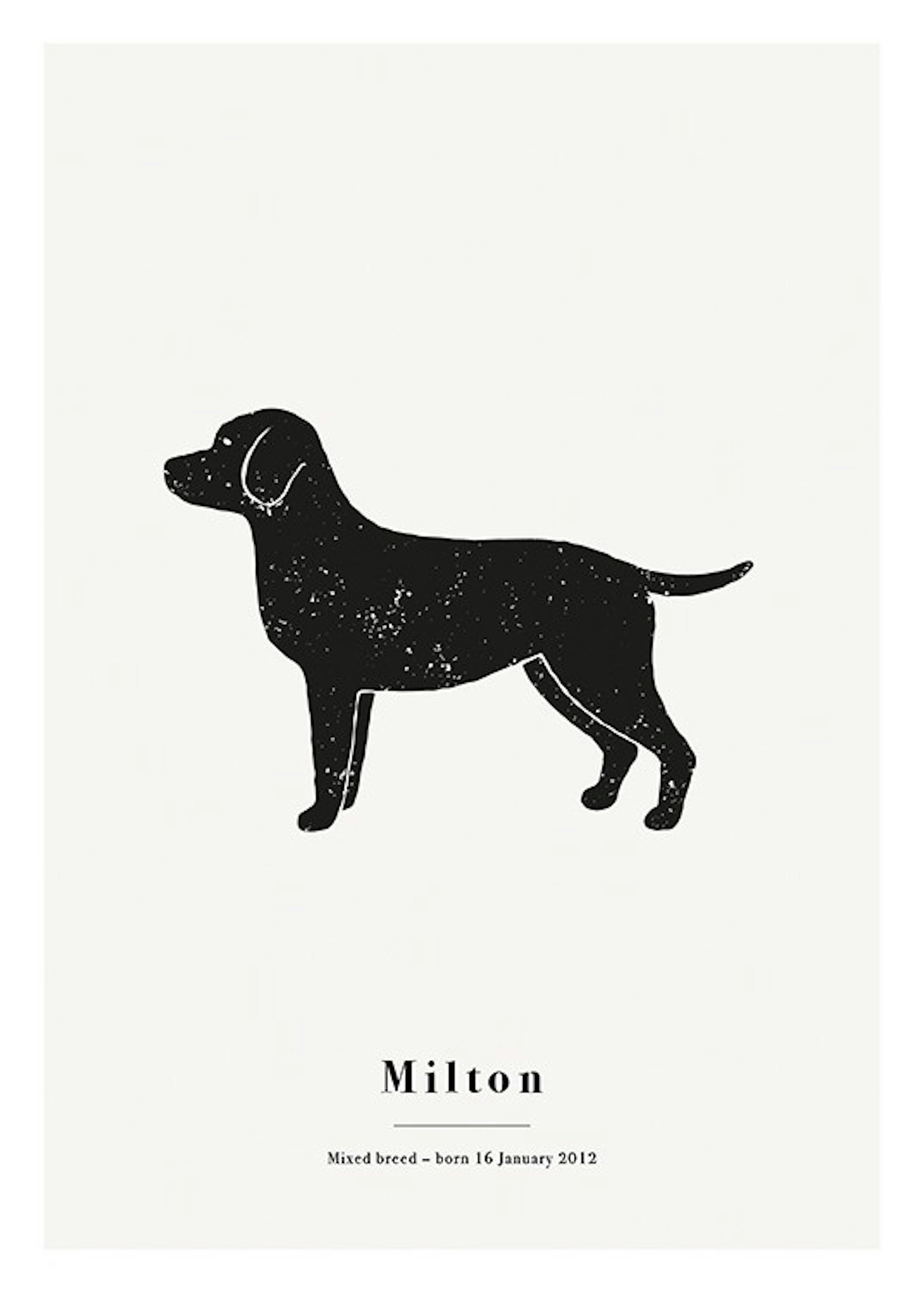 My Pet Labrador Personal Plakat 0