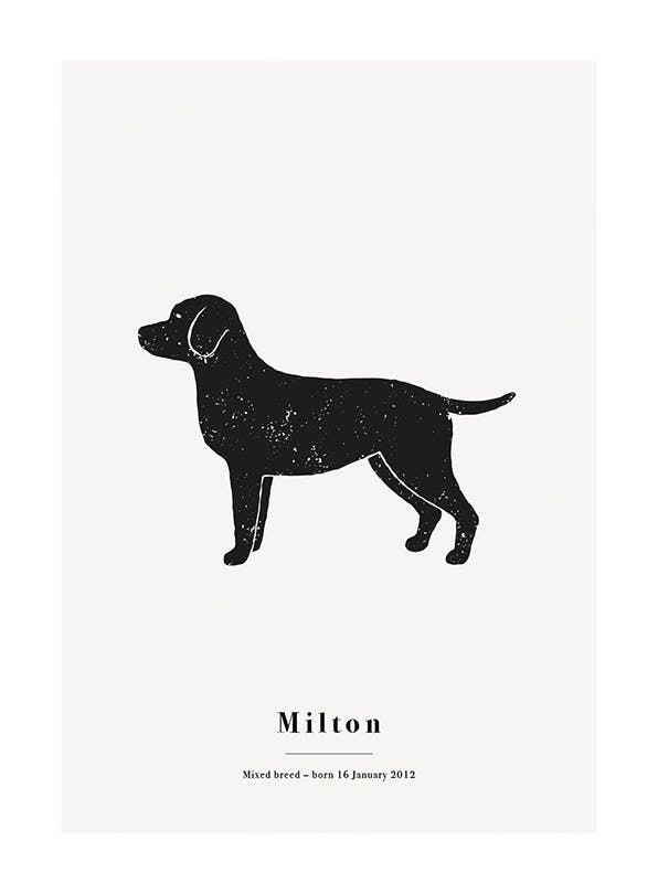 My Pet Labrador Personal Poster (30x40 cm) - Gepersonaliseerde posters