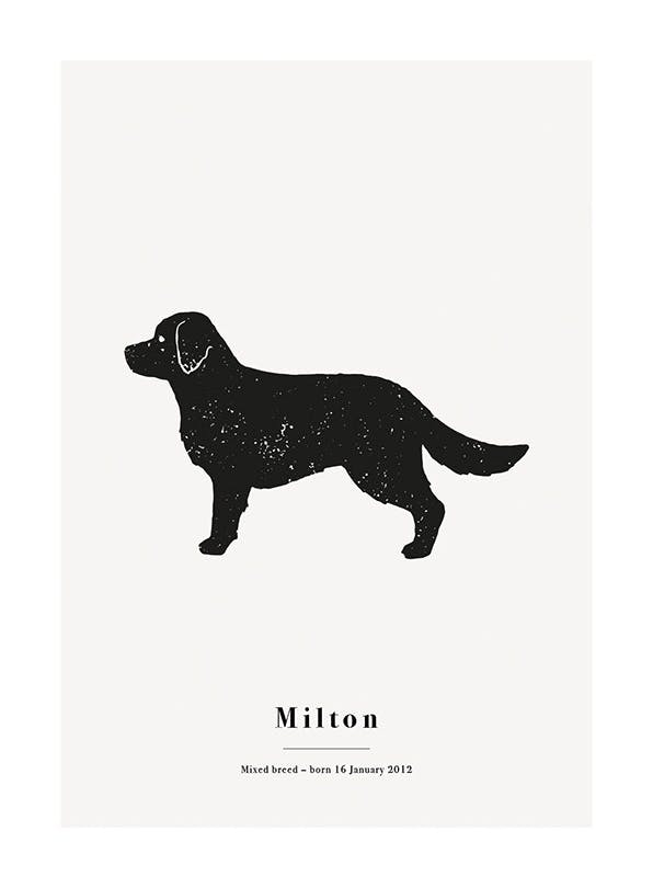 My Pet Golden Retriver Personal Poster (50x70 cm) - Gepersonaliseerde posters