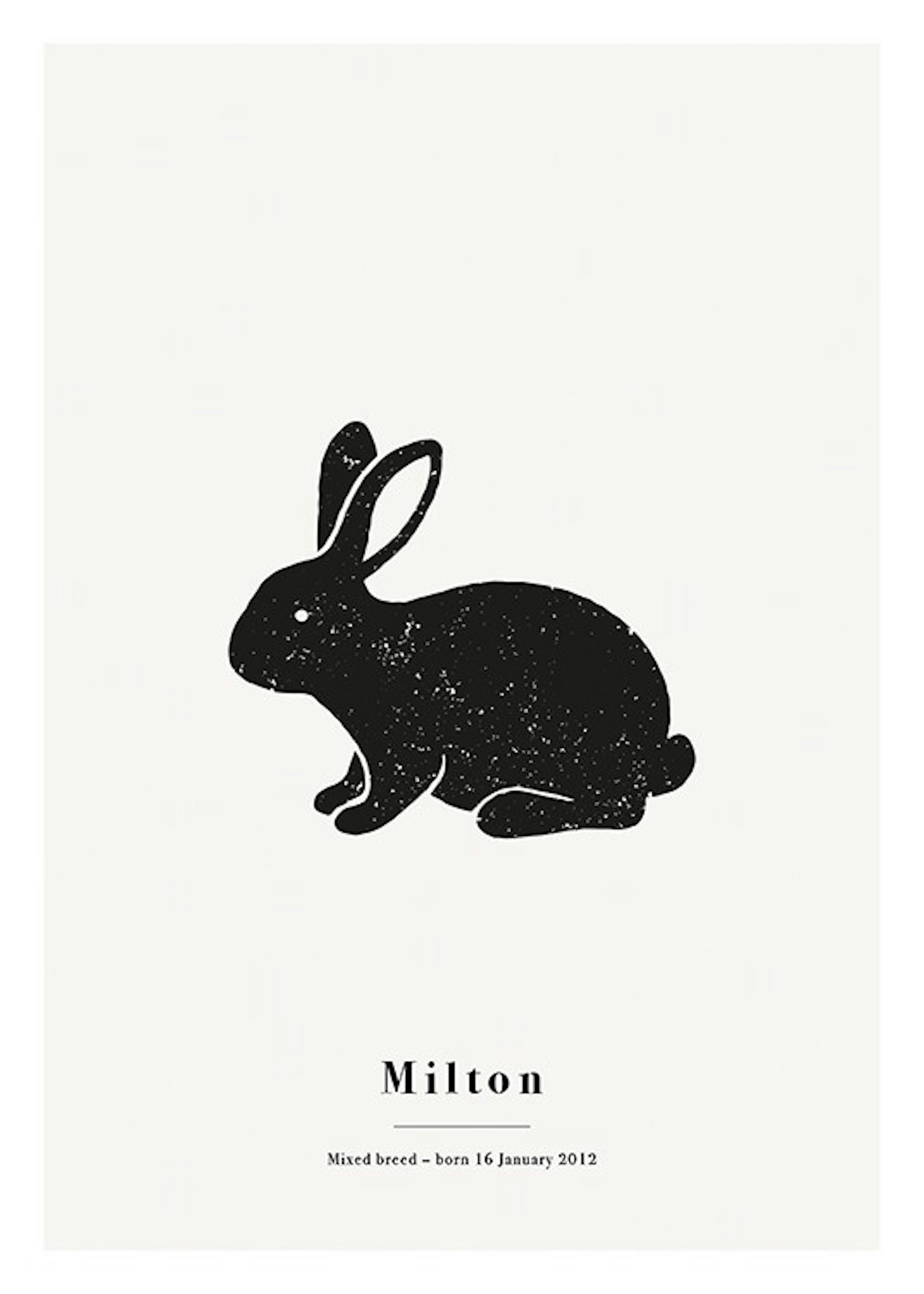 My Pet Rabbit Personal Plakat