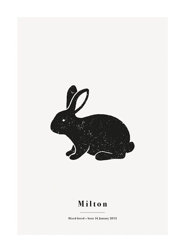 My Pet Rabbit Personal Juliste (50x70 cm)  Persoonalliset julisteet