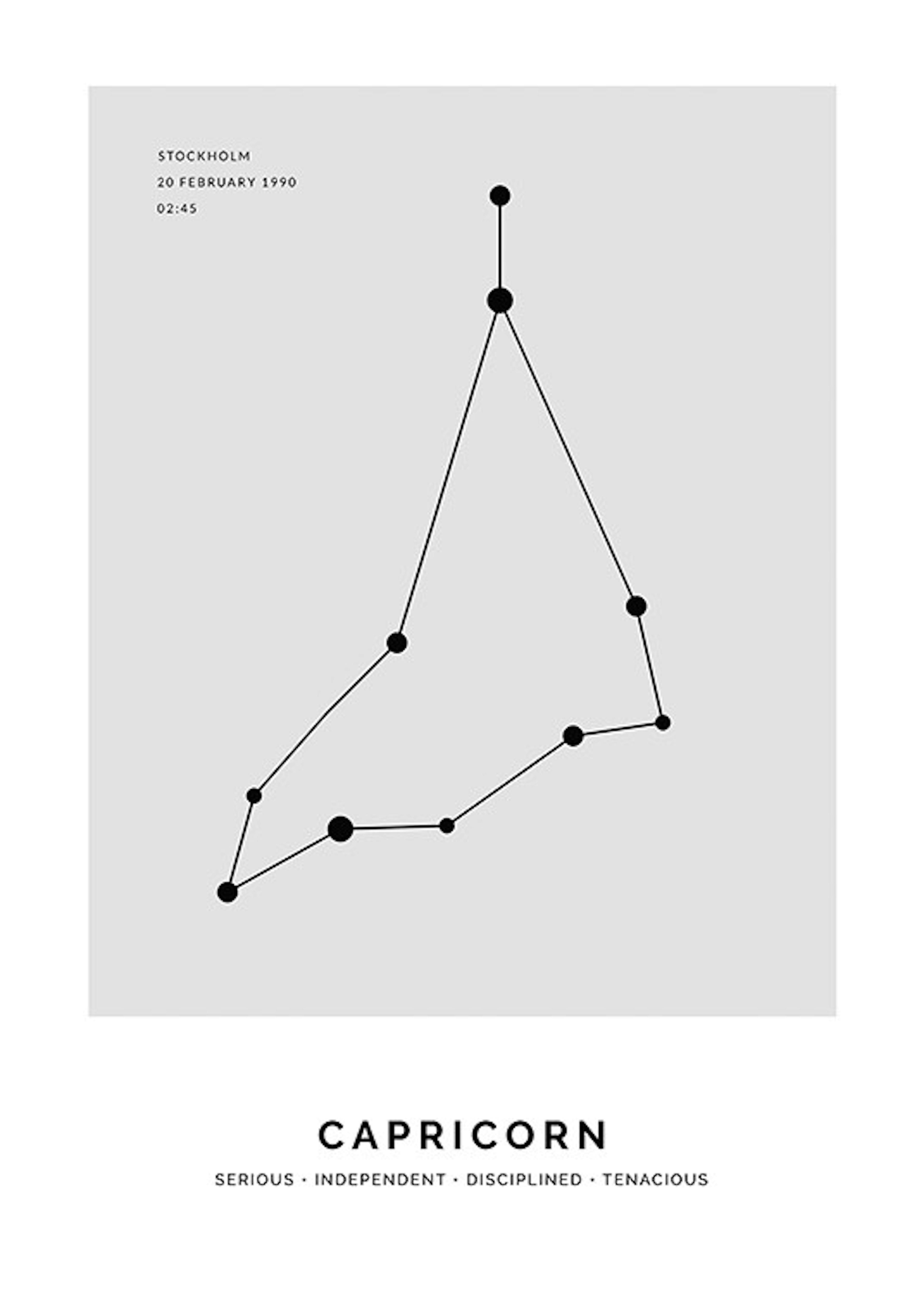 Constellation Grey Capricorn Personal Poster 0