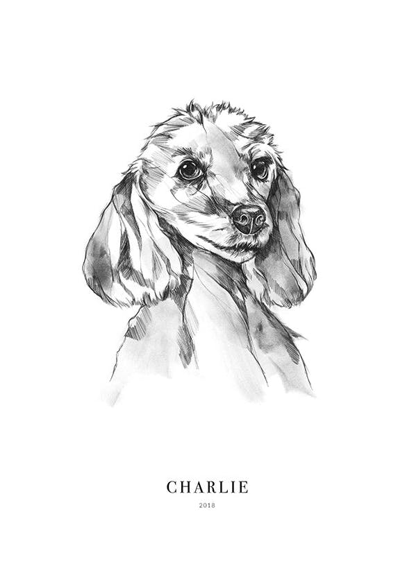 Poodle Dog Personal Poster (50x70 cm) -  Personalisierte Poster