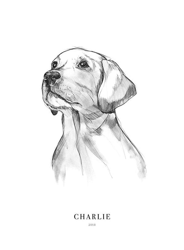 Retriever Dog Personal Poster (30x40 cm) - Gepersonaliseerde posters