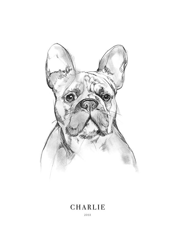 French Bulldog Personal Poster (30x40 cm) -  Personalisierte Poster