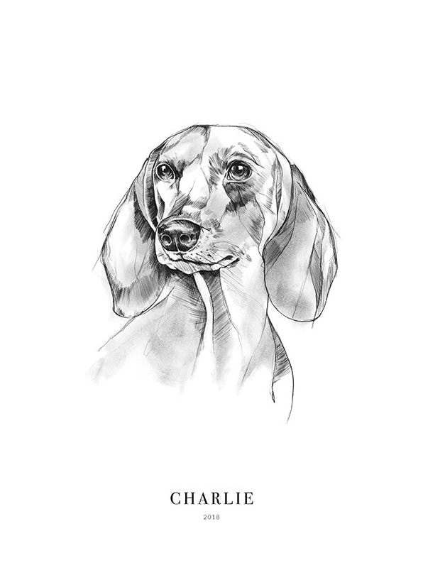 Prints - Dachshund Dog Personal (30x40 cm) - Personalised prints