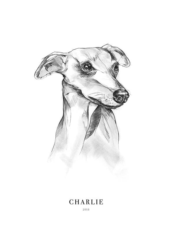 Whippet Dog Personal Plakat (30x40 cm)- Plakaty personalizowane
