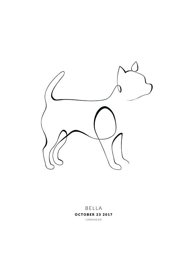 My Dog Chihuahua Personal Juliste (50x70 cm)  Persoonalliset julisteet