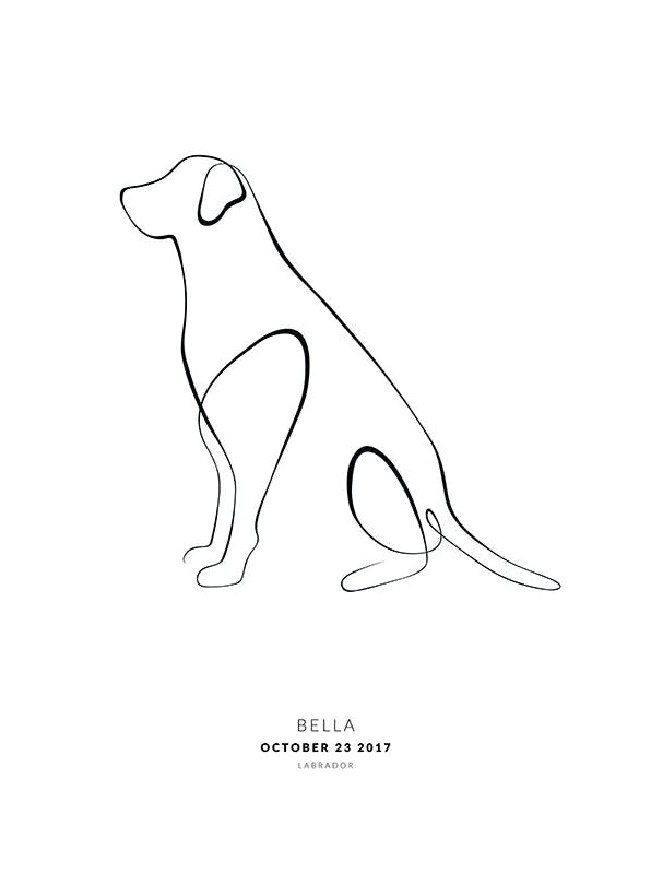 My Dog Labrador Personal Poster (50x70 cm) -  Personalisierte Poster