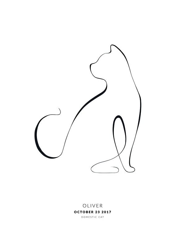 My Cat Domestic Cat Personal Poster (30x40 cm) - Gepersonaliseerde posters