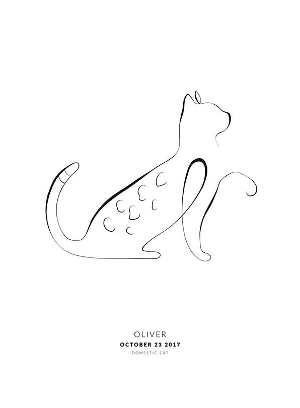 My Cat Bengal Personal Juliste (30x40 cm)  Persoonalliset julisteet