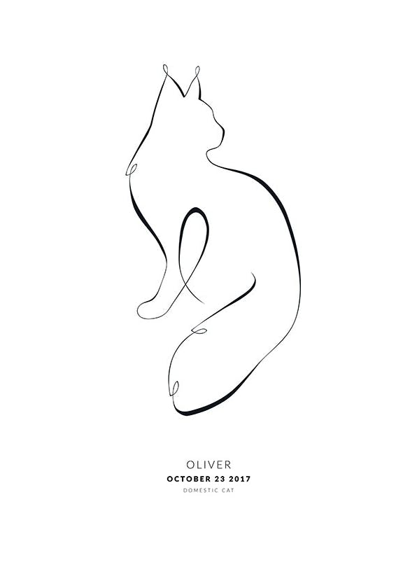 Prints - My Cat Maine Coon Personal (30x40 cm) - Personalised prints