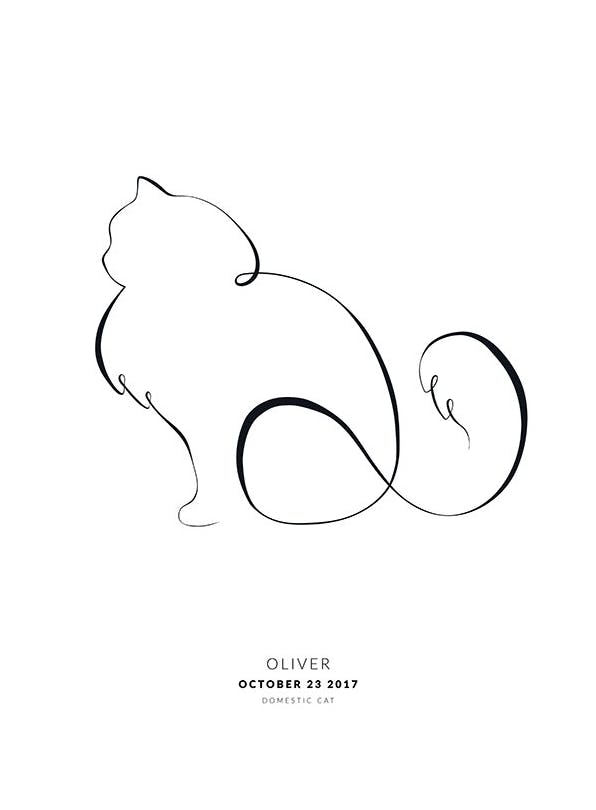 My Cat Siberian Cat Personal Poster (50x70 cm) - Personalisierte Poster