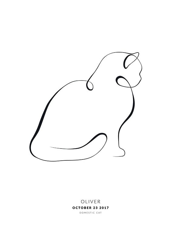 My Cat British Shorthair Personal Affiche (50x70 cm) - Affiches personnalisées