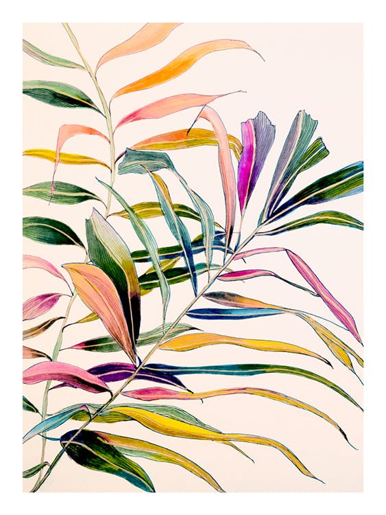 Leigh Viner - Palm in Color Juliste 0