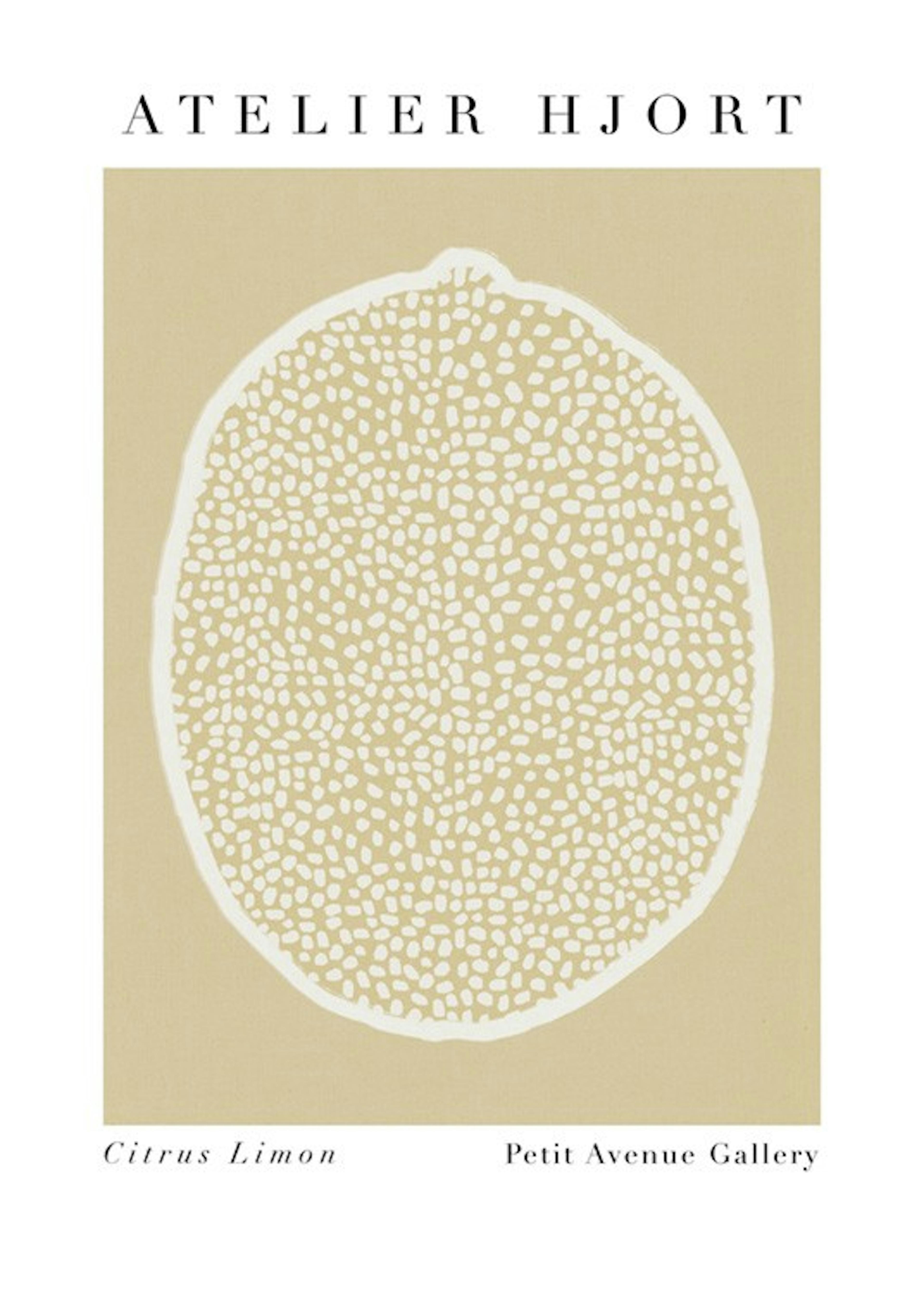 Julia Hallström Hjort - Citrus Limon Plakat 0