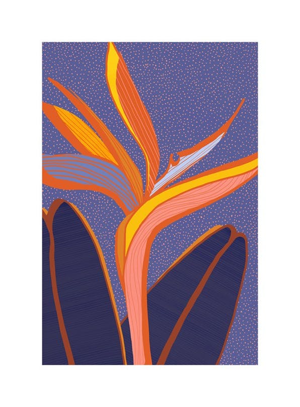 Kristian Gallagher - Bright Tropical Flower Poster (50x70 cm)