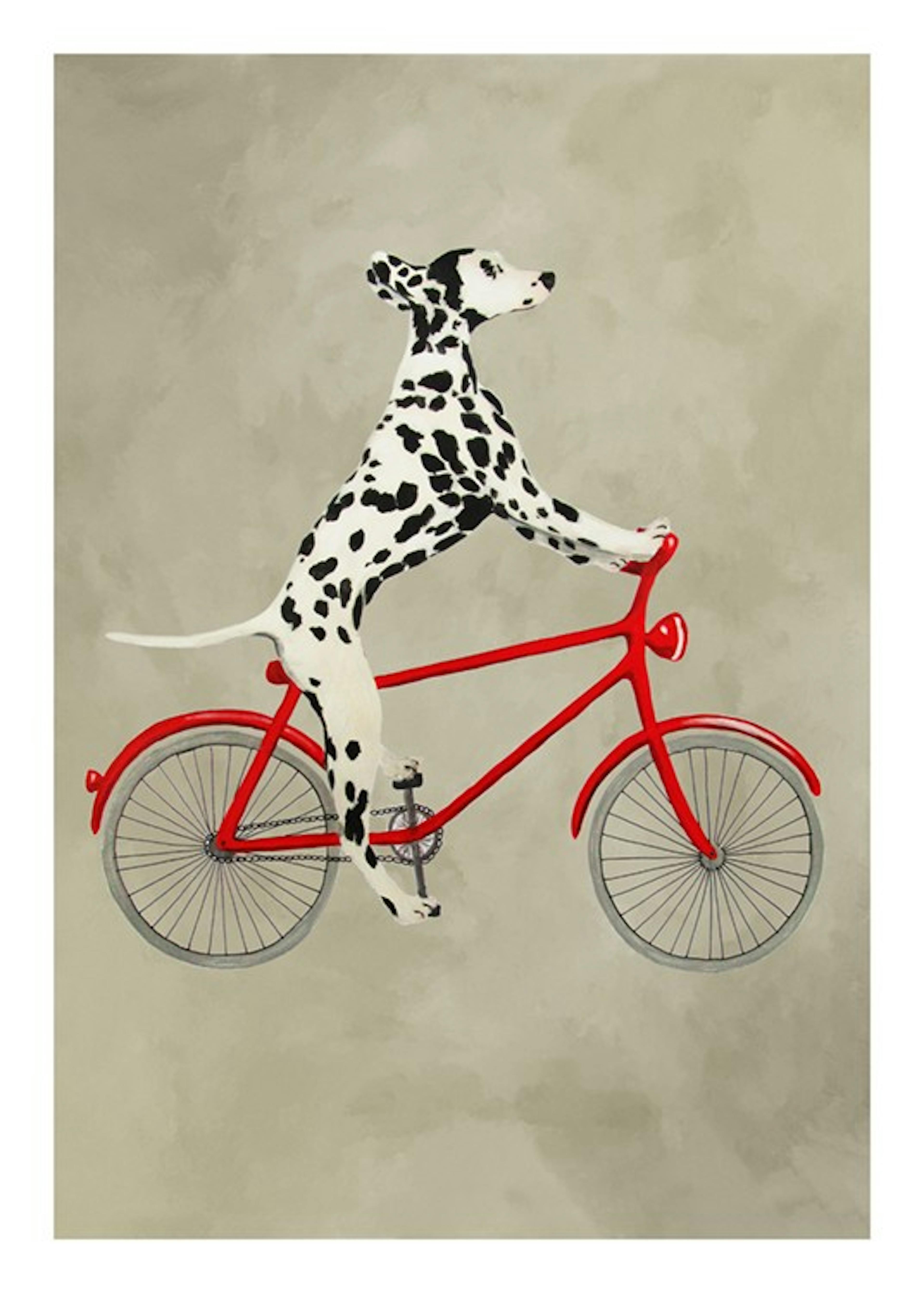 Coco De Paris - Dalmatian on Bicycle Affiche 0