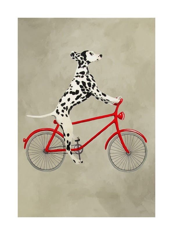 Coco De Paris - Dalmatian on Bicycle Print (50x70 cm)