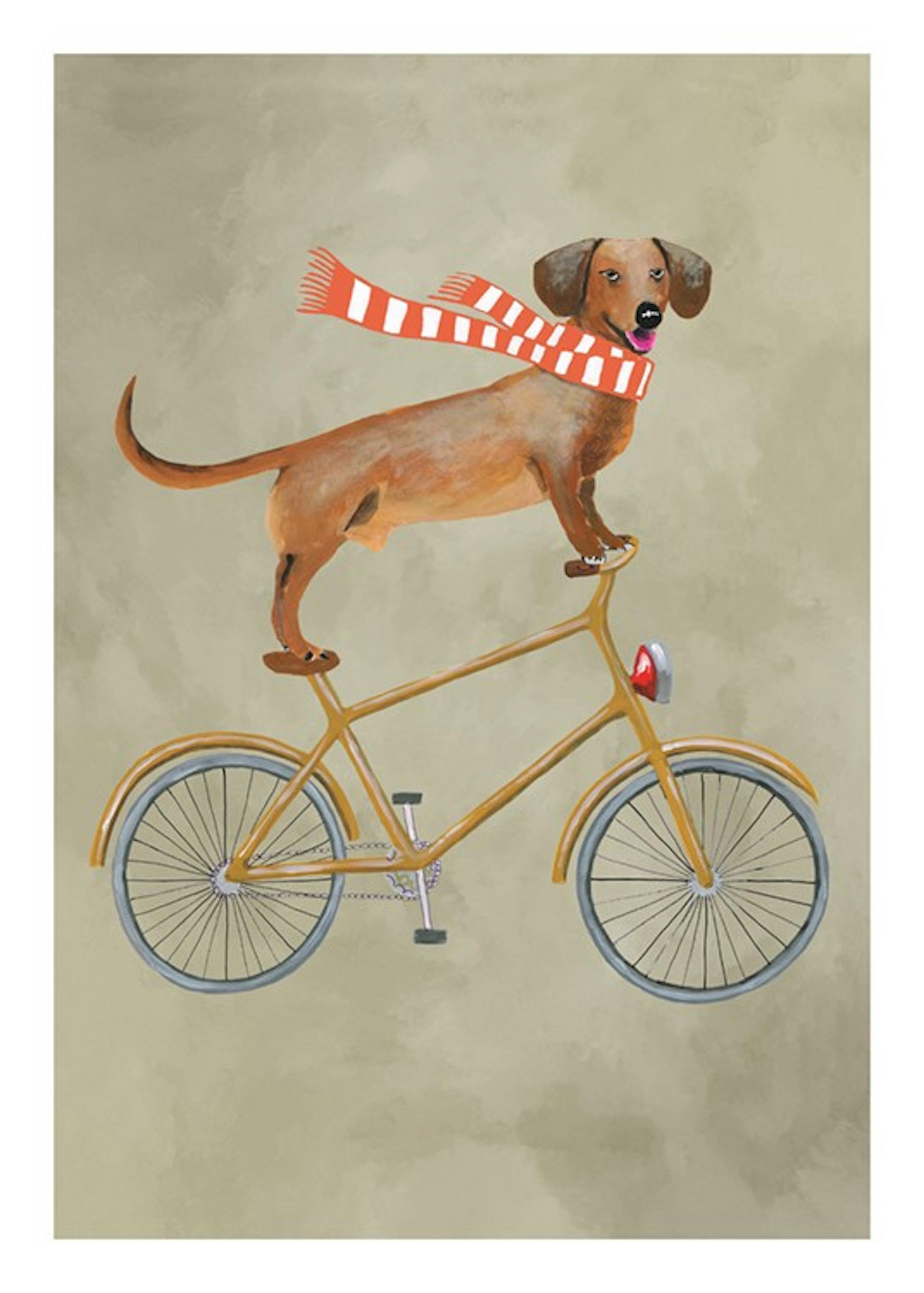 Coco De Paris - Dachshund on Bicycle in the Winter Print