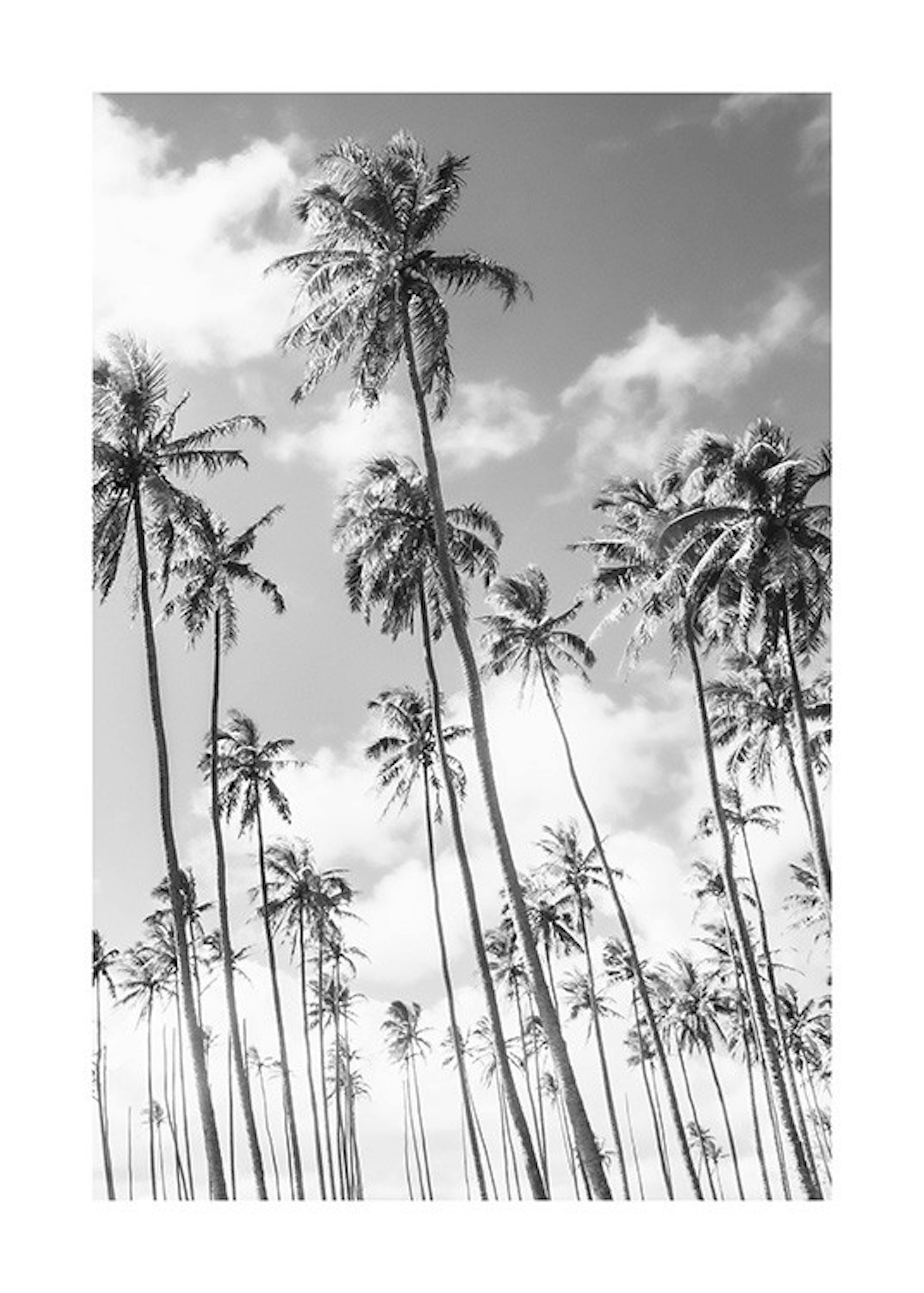 Richard Podgurski - Kauai Palms Plakát 0