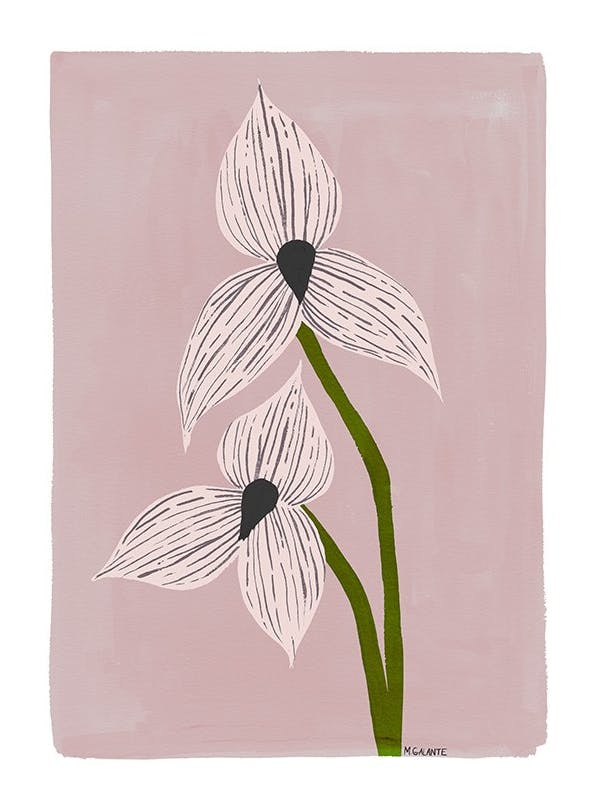 Megan Galante - Orchid Portrait Poster (50x70 cm)