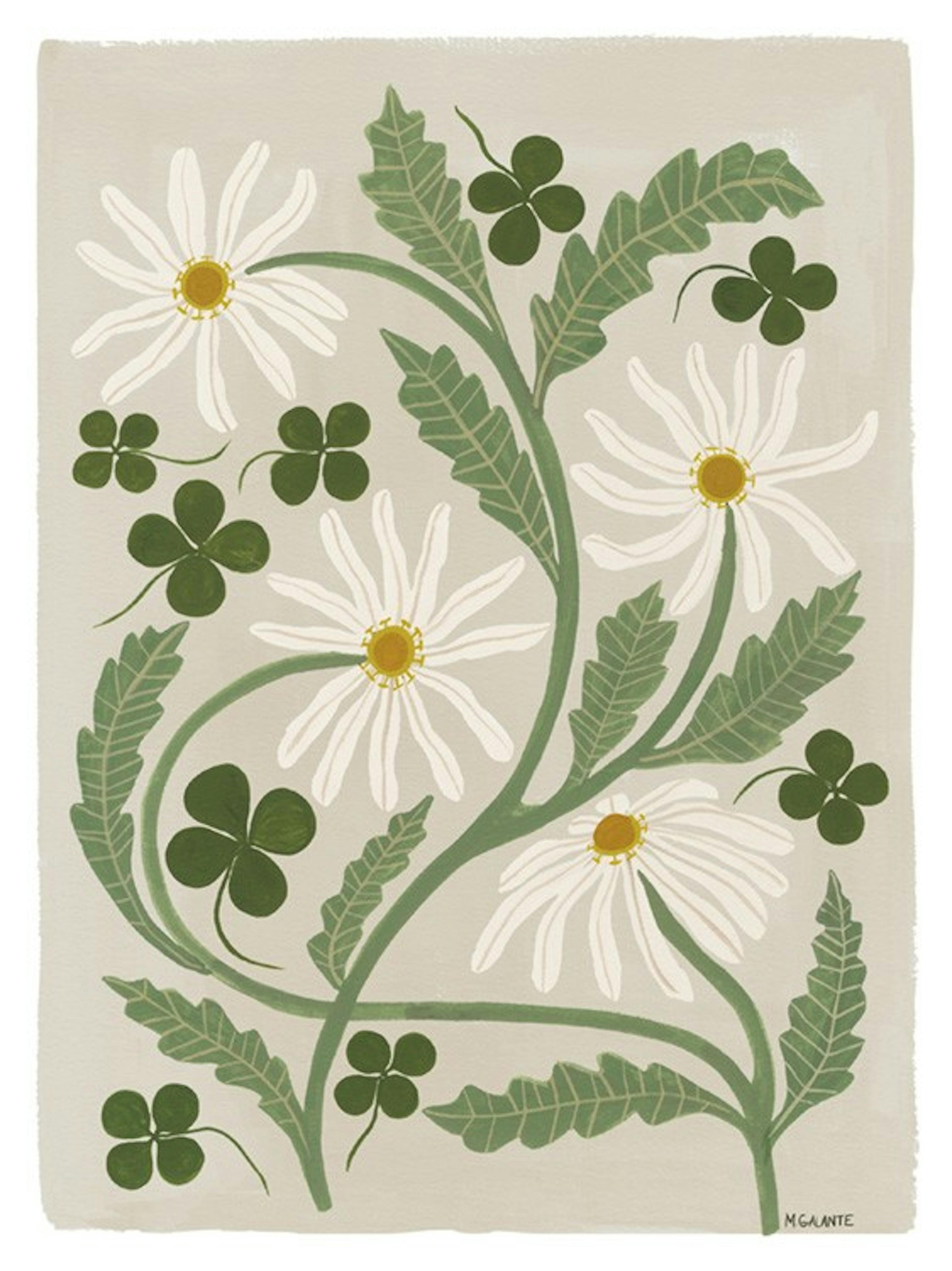 Megan Galante - Clover Floral Plakat 0