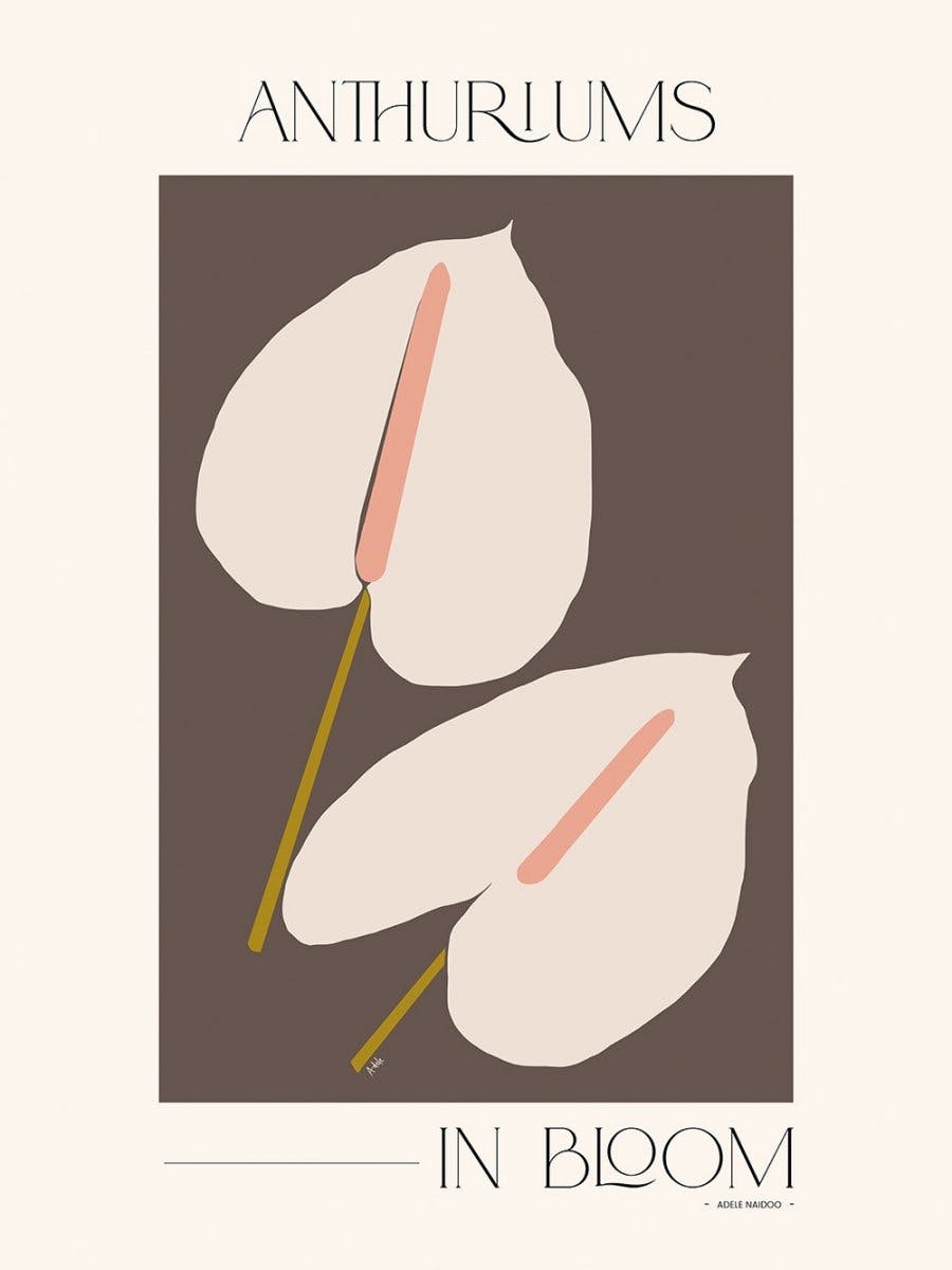 Adele Naidoo - Anthuriums in Bloom Plagát 0