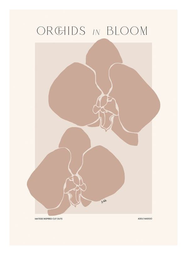Adele Naidoo - Orchids in Bloom Print (30x40 cm)