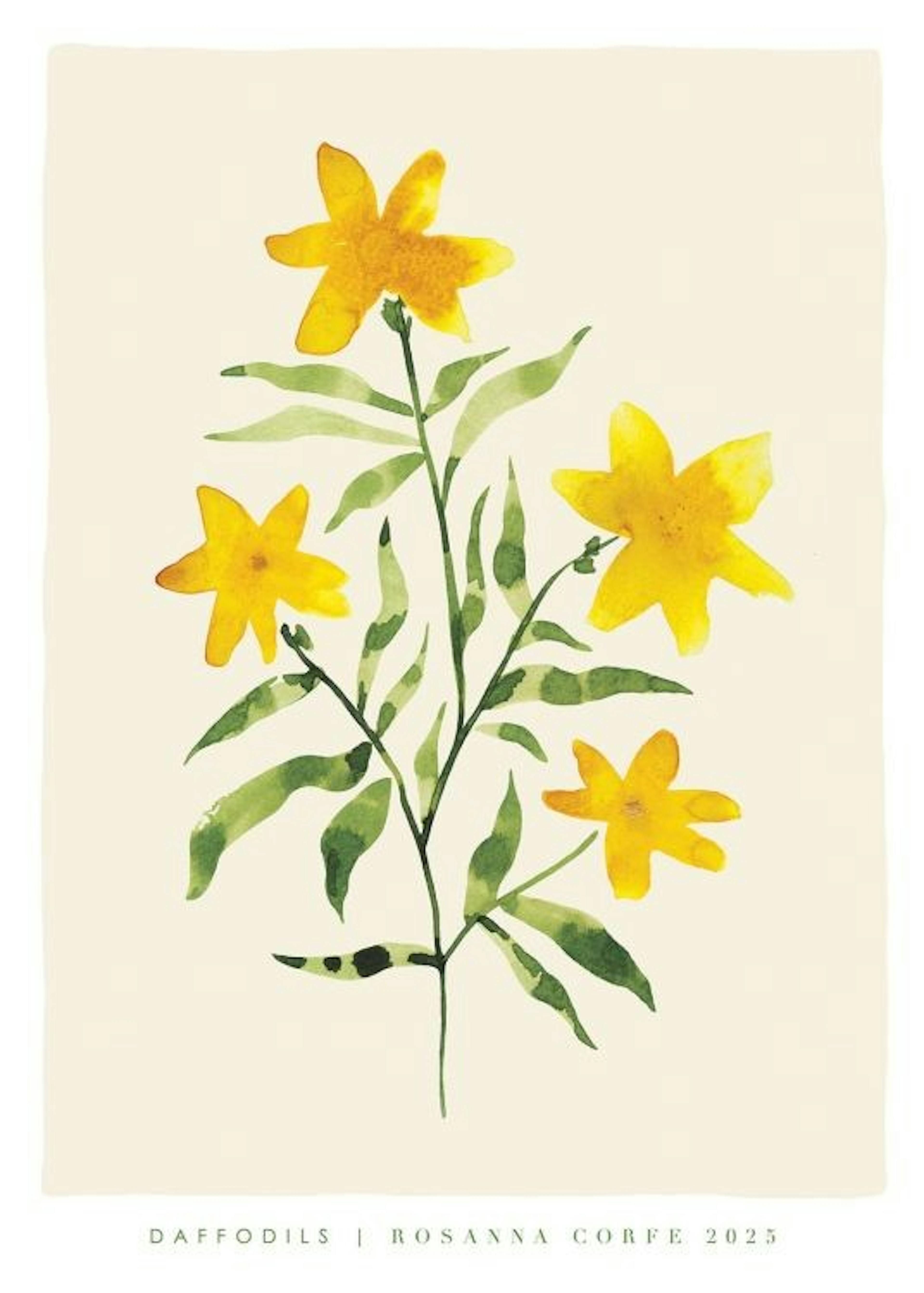 Rosanna Corfe - Daffodils Print 0