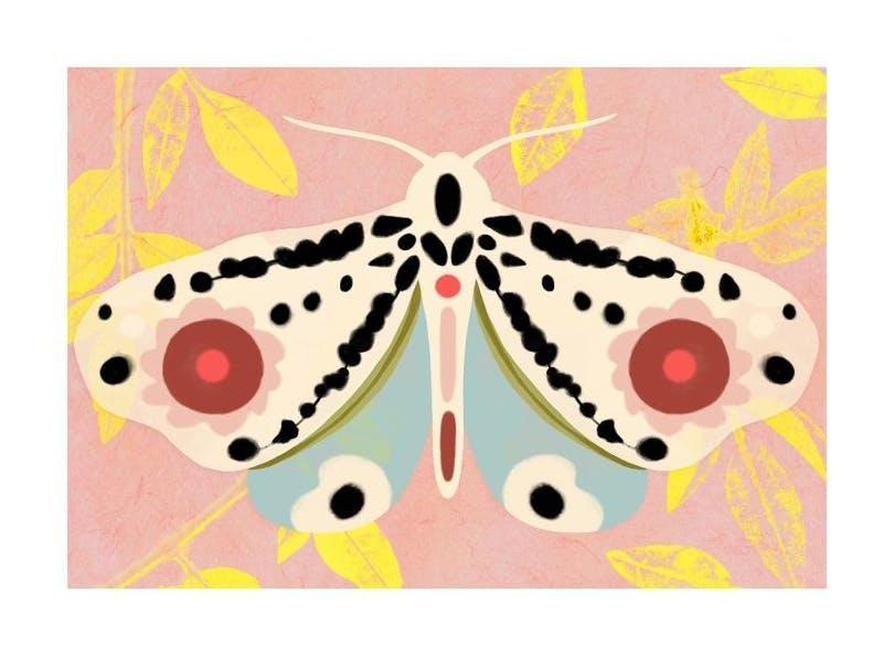 Sylvia Takken - Transformation Affiche (30x40 cm)  Sylvia Takken