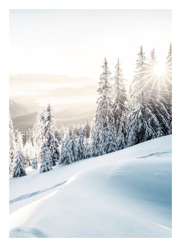 Winter Sunrise Affiche (40x50 cm) - Affiches hivernales