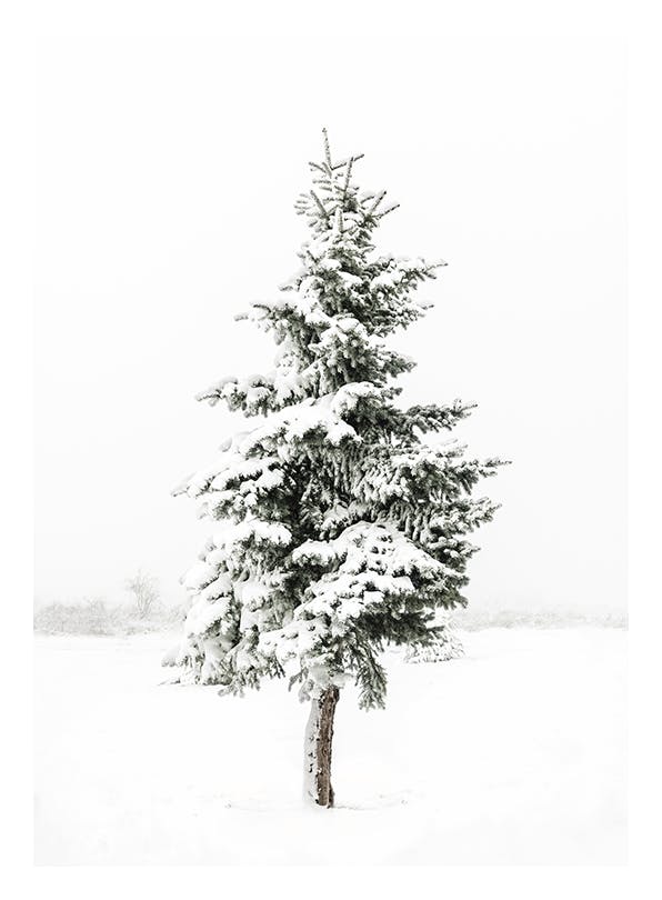 Prints - Snowy Spruce Print (30x40 cm) - Winter prints