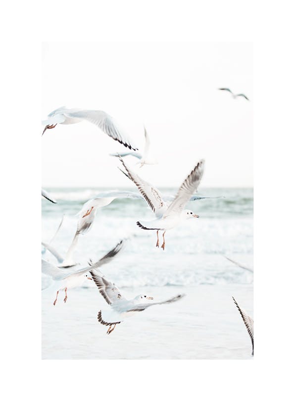 Flying Seagulls Plakat (50x70 cm)-Plakaty