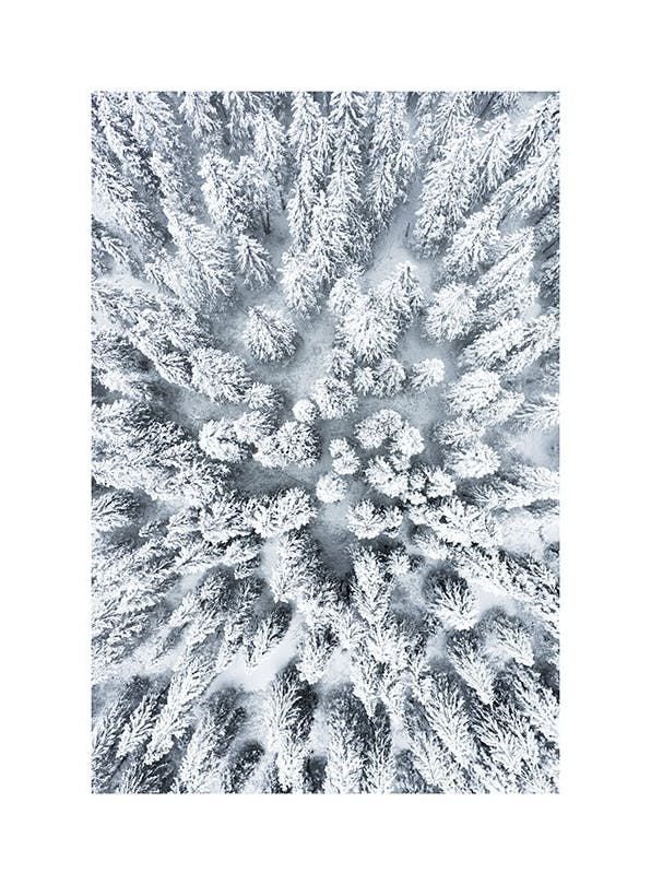 Prints - Snowy Trees Print (21x30 cm) - Winter prints