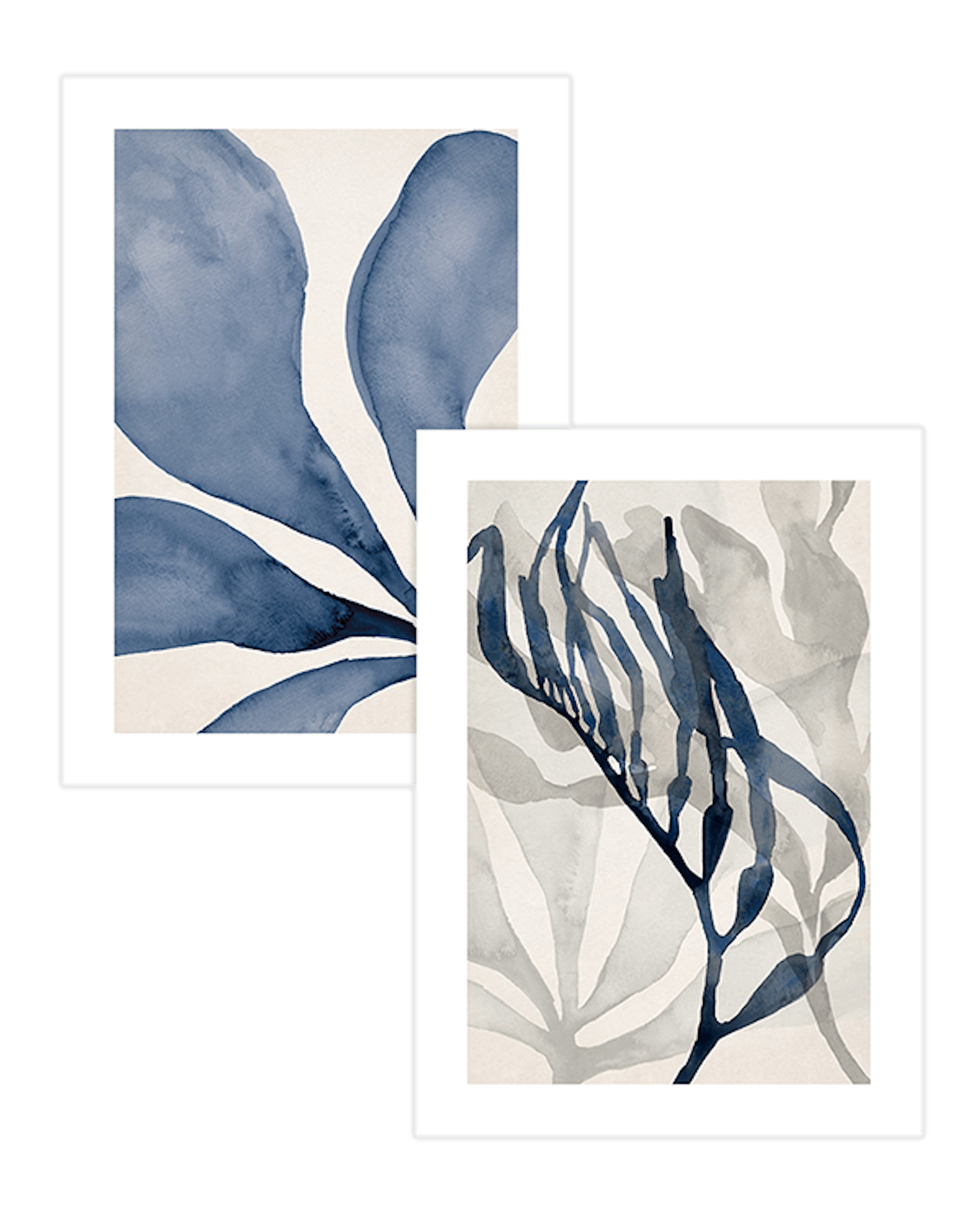 Watercolour Seaweed Duo Poster pack