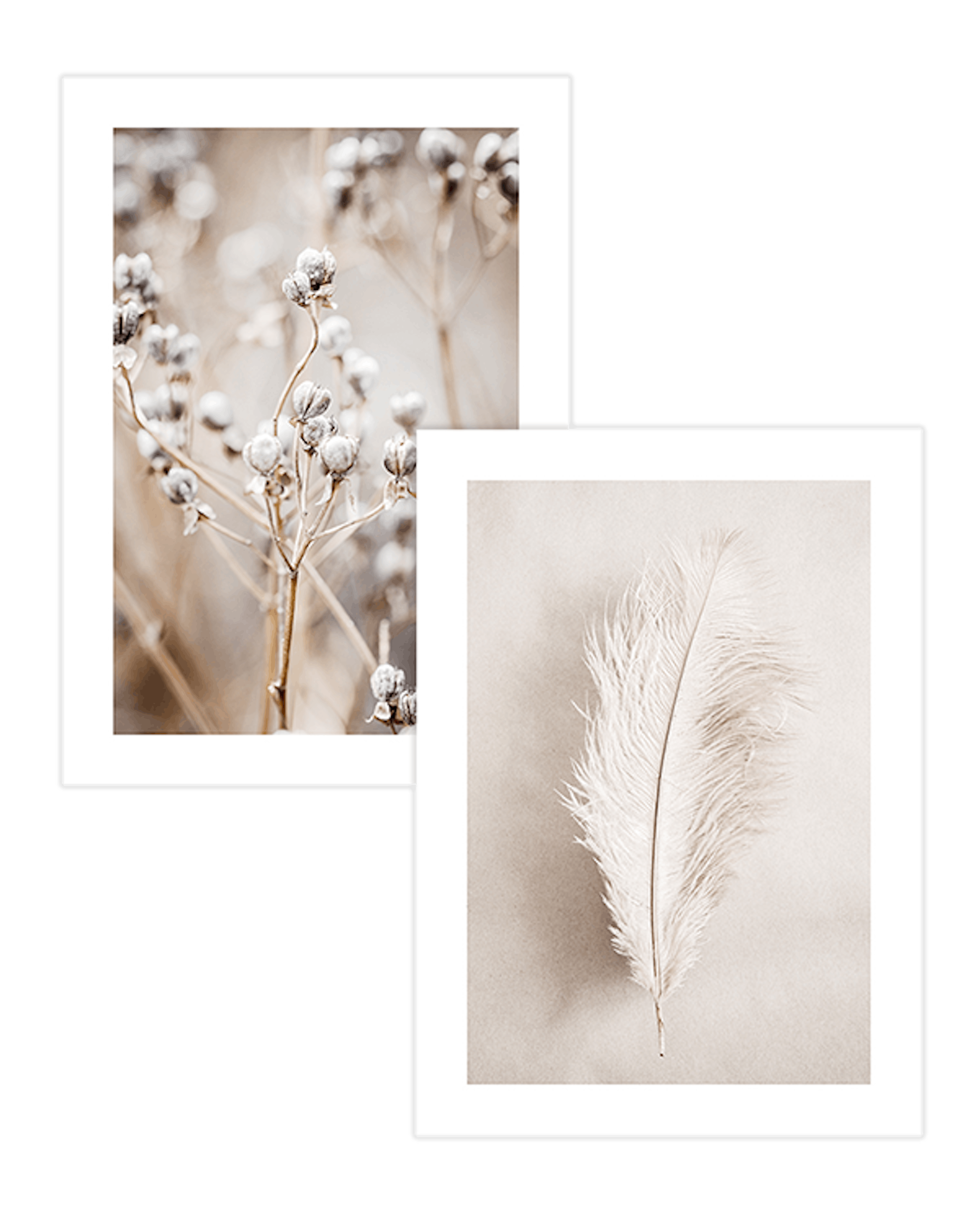 Soft Nature Duo Postersets
