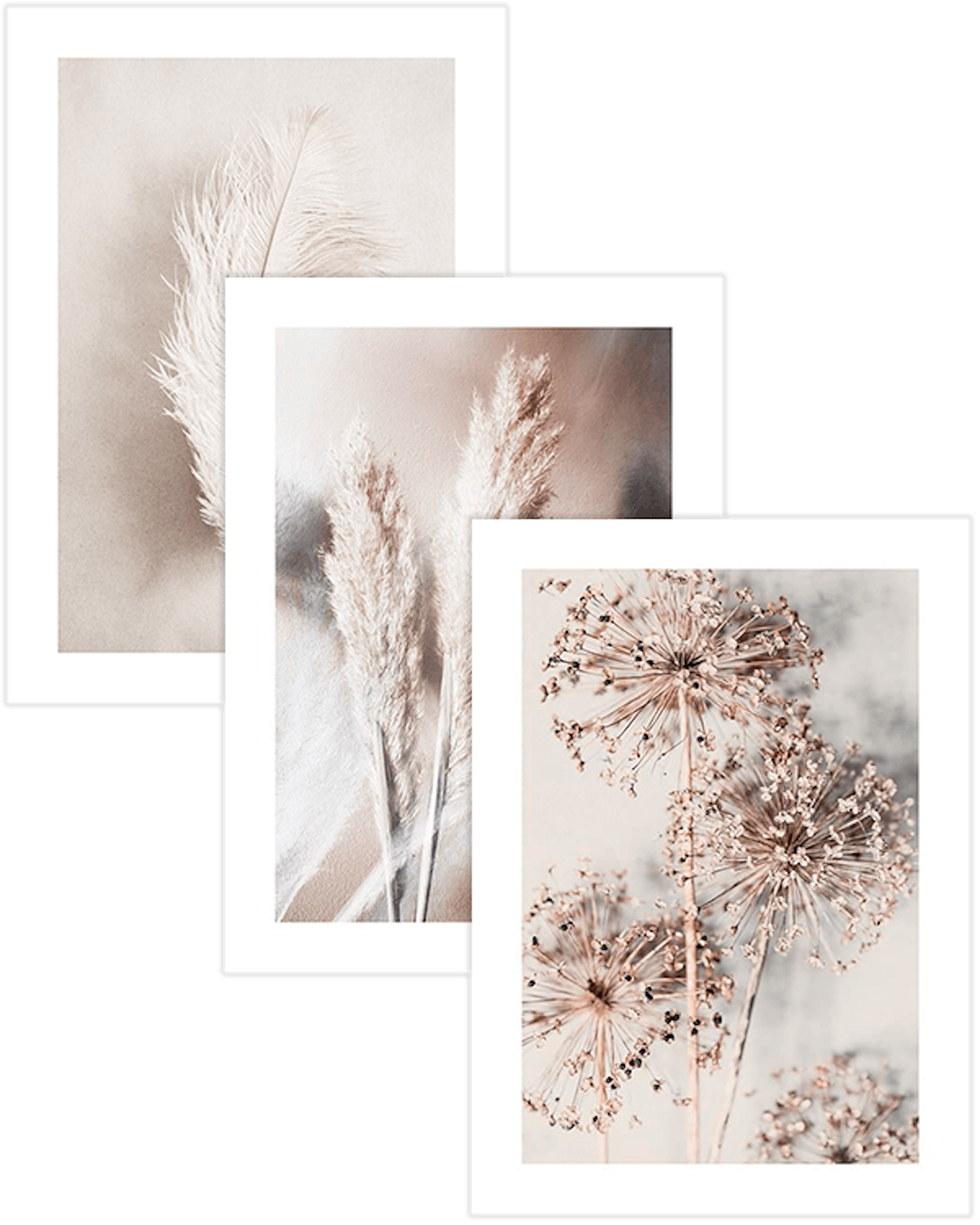 Natural Aesthetics Trio Postersets
