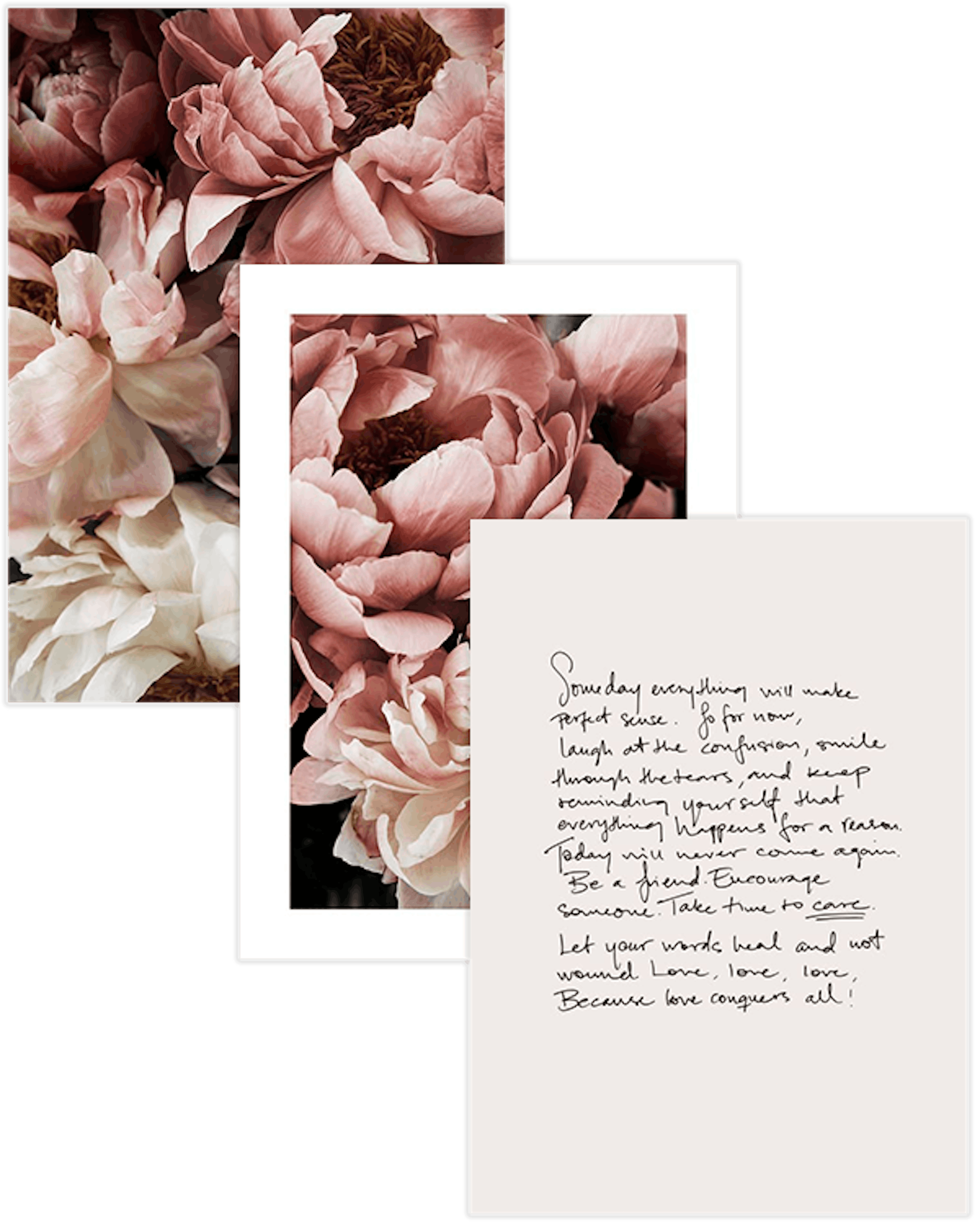 Flower Trio Paquetes de pósters