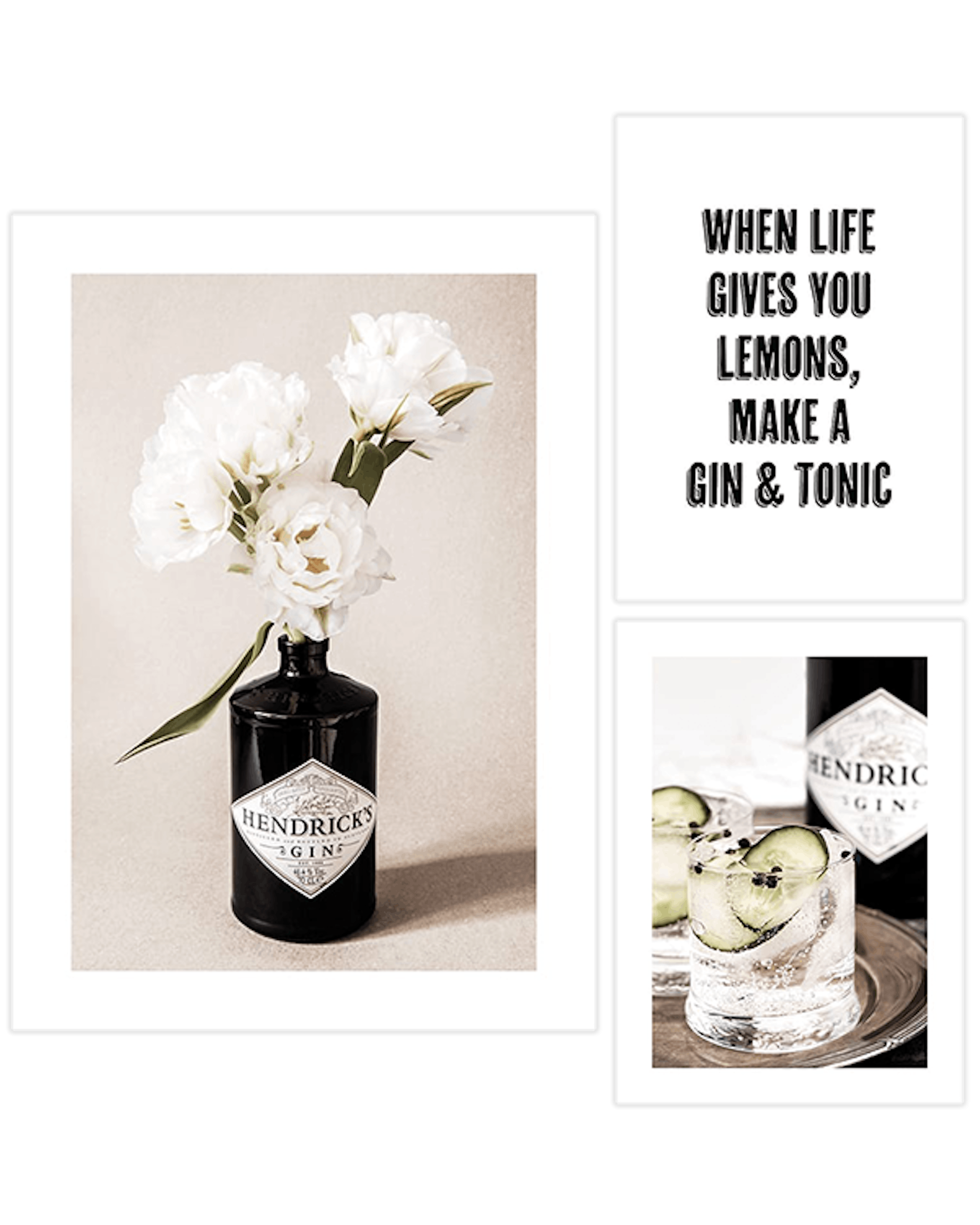 Gin and Flowers Trio Plakat pakker